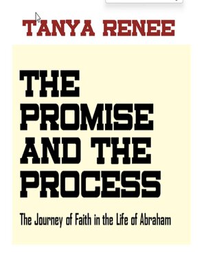 cover image of The Promise and the Process